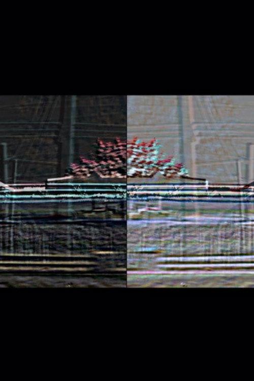 Cylinder Seal 2024 official movie poster