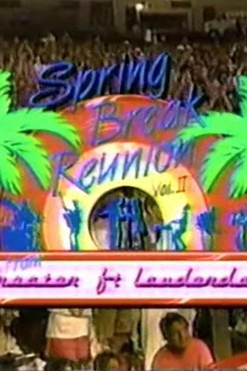 Spring Break Reunion 1987 official movie poster