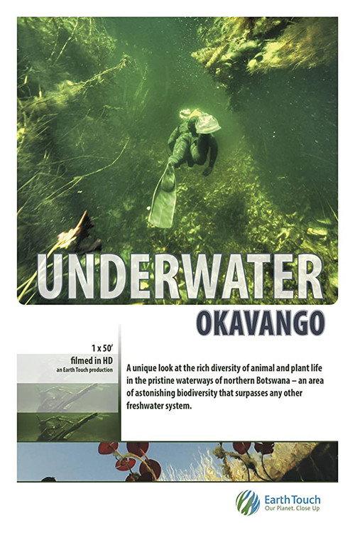 Underwater Okavango 2012 official movie poster