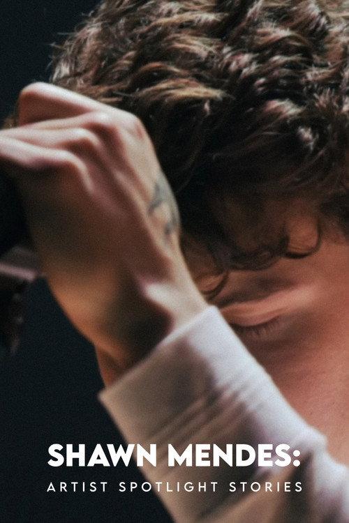 Shawn Mendes: Artist Spotlight Stories 2018 official movie poster