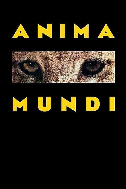 Anima Mundi 1991 official movie poster