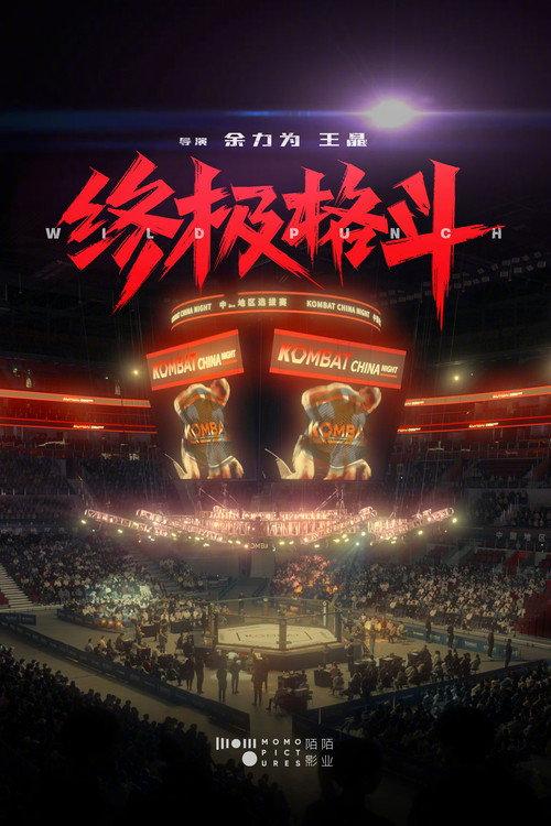 Wild Punch  official movie poster