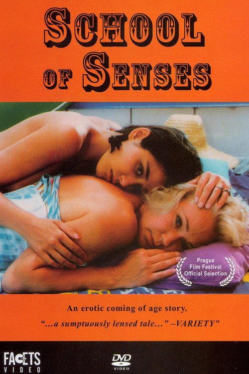 School of Senses 1996 official movie poster
