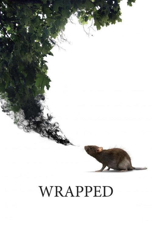Wrapped 2014 official movie poster