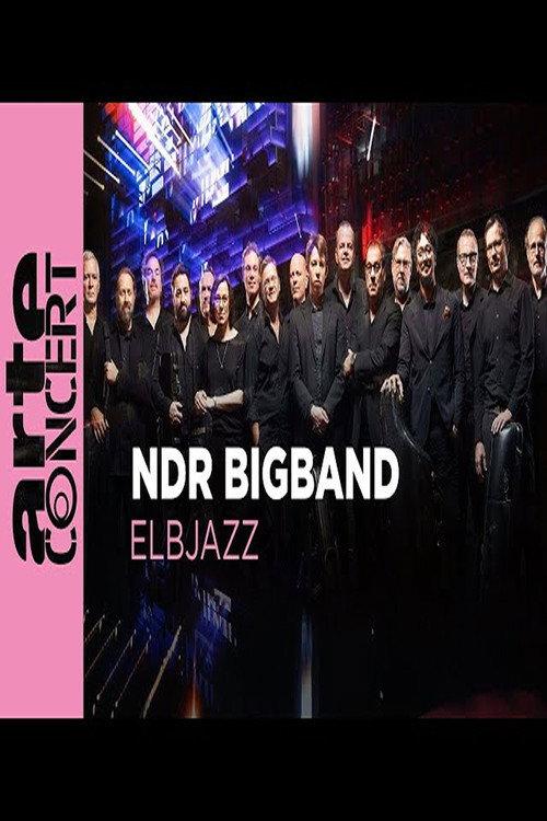 NDR Bigband feat. Lenine & Martin Fondse: The Bridge Elbjazz Festival 2024 2024 official movie poster