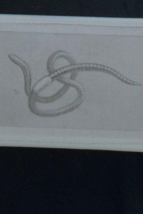 Tutto qui 2022 official movie poster