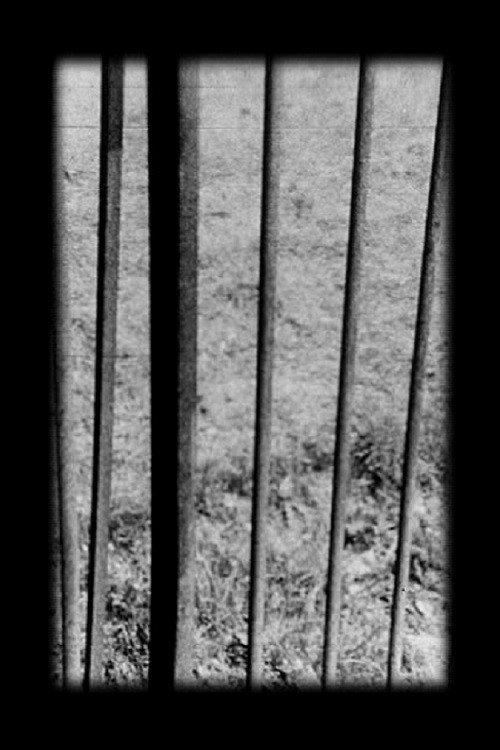 Railings 1977 official movie poster
