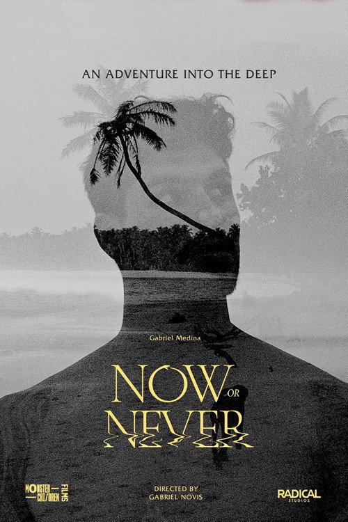 Now or Never 2024 official movie poster