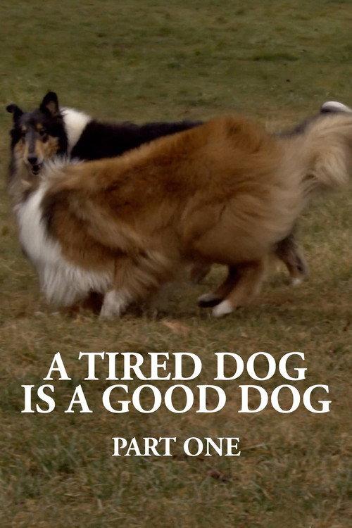 A Tired Dog is a Good Dog, Part One 2022 official movie poster