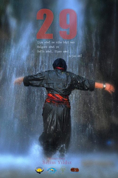 29 2014 official movie poster