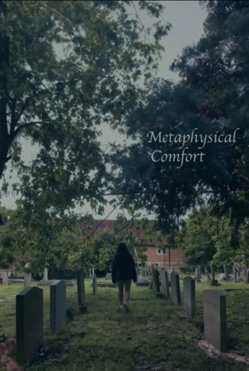 Metaphysical Comfort 2023 official movie poster