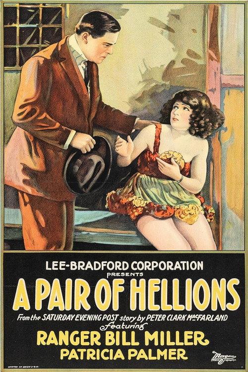 A Pair of Hellions 1924 official movie poster