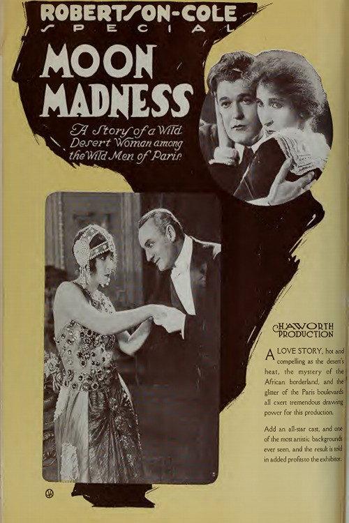 Moon Madness 1920 official movie poster