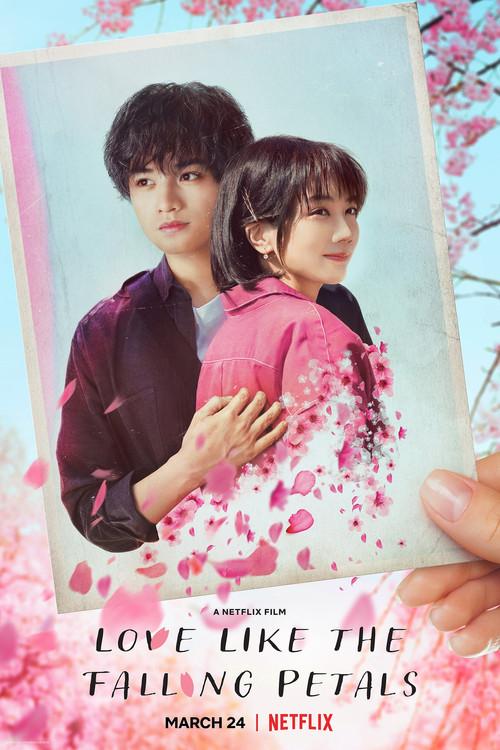 Love Like the Falling Petals 2022 official movie poster