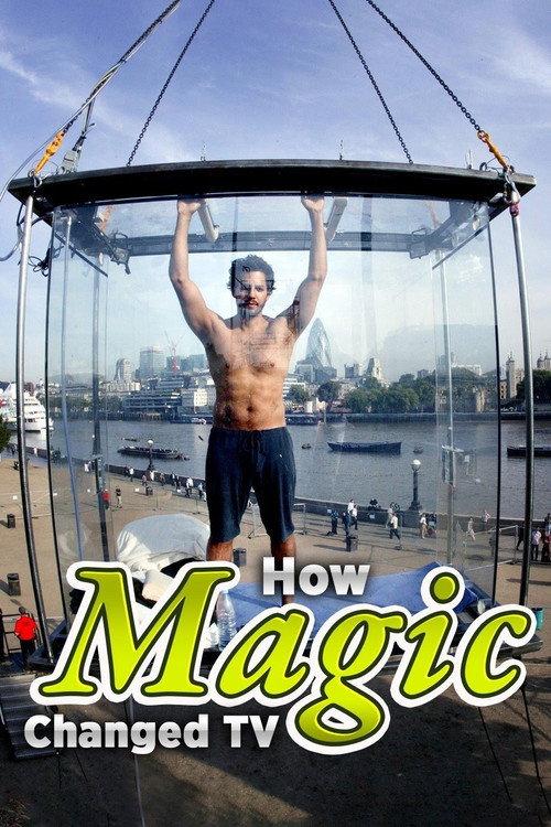 How Magic Changed TV 2017 official movie poster