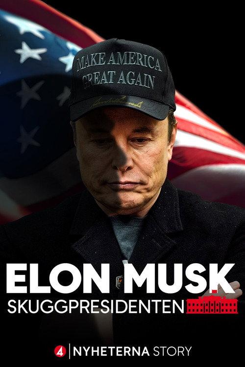 Elon Musk – The Shadow President 2025 official movie poster