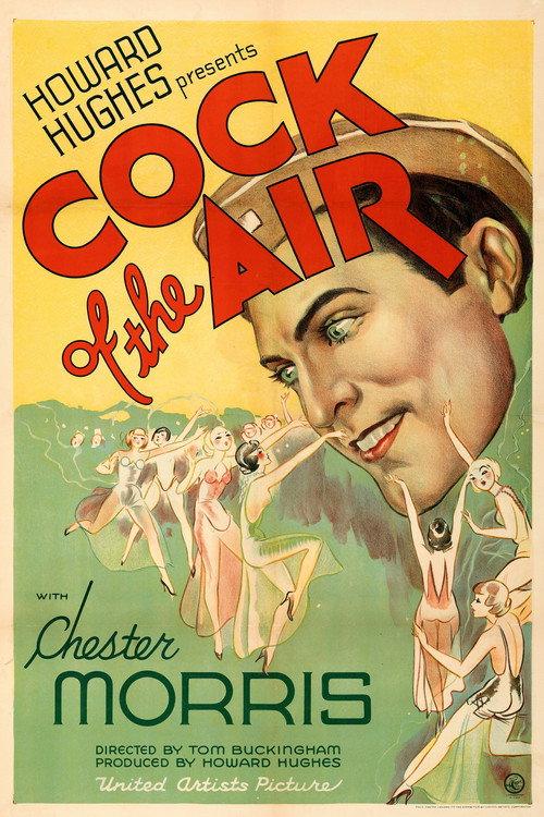 Cock of the Air 1932 official movie poster