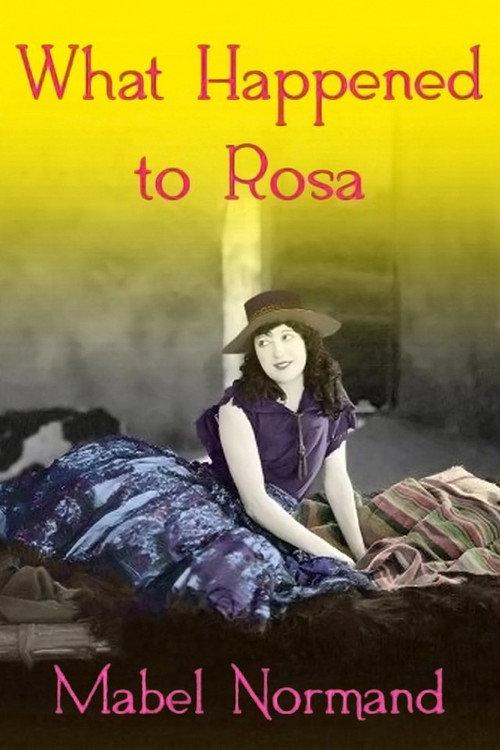 What Happened To Rosa 1920 official movie poster