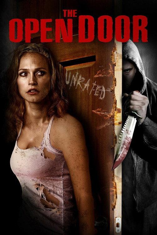 The Open Door 2008 official movie poster