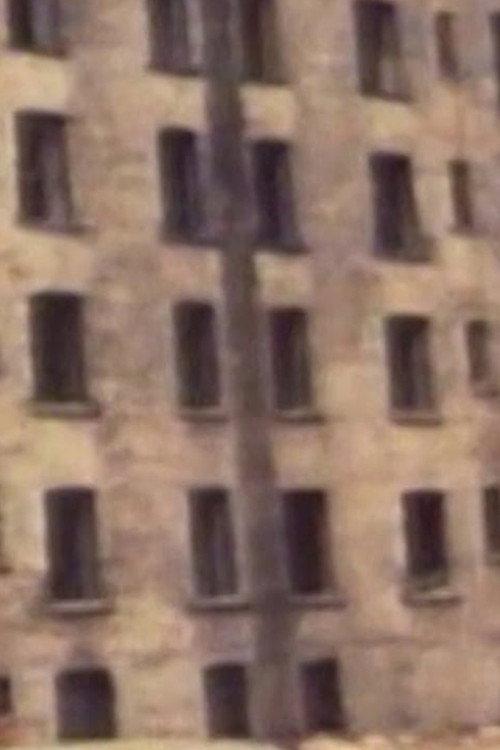 Lower East Side (LES) 1976 official movie poster