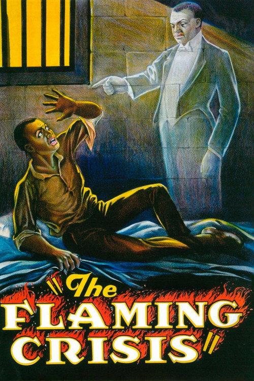 The Flaming Crisis 1924 official movie poster
