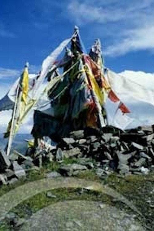 The Sacred Site for Asceticism 1993 official movie poster