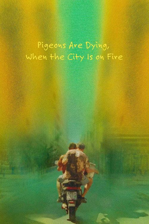 Pigeons Are Dying, When the City Is on Fire 2023 official movie poster