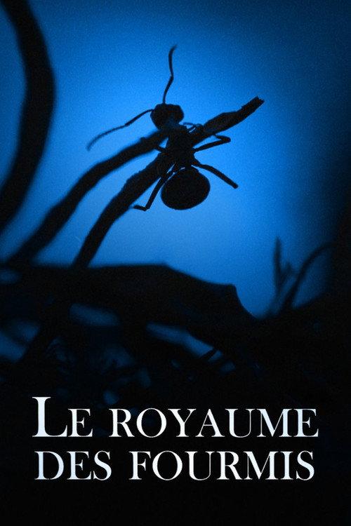 Le Royaume des fourmis 2022 official movie poster