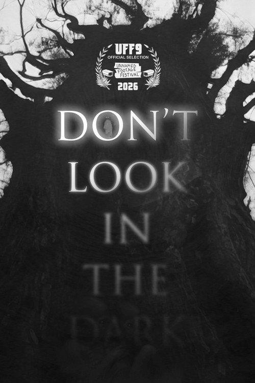 Don't Look in the Dark 2025 official movie poster