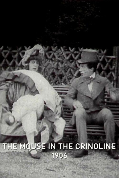 The Mouse in the Crinoline 1906 official movie poster