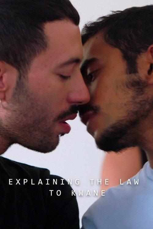 Explaining the Law to Kwame 2020 official movie poster