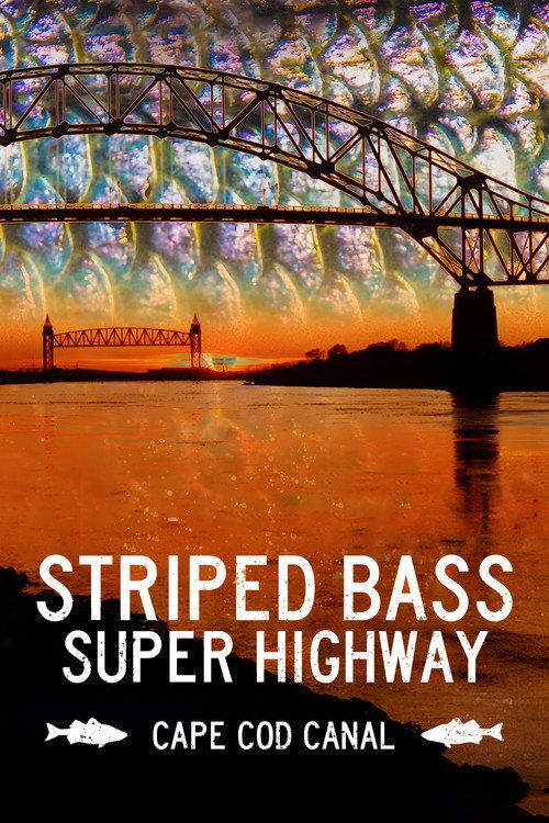 Striped Bass Super Highway: Cape Cod Canal 2020 official movie poster