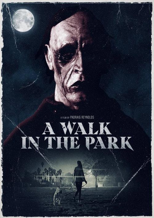 A Walk in the Park 2022 official movie poster