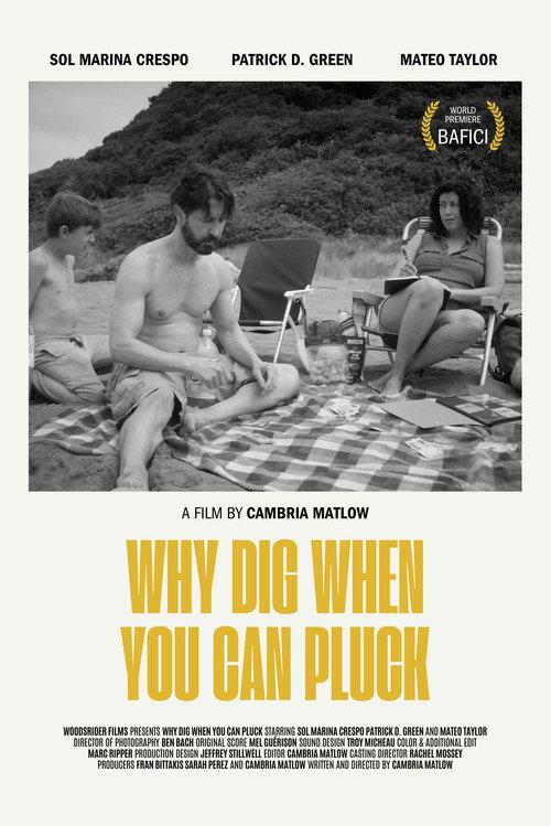 Why Dig When You Can Pluck 2024 official movie poster