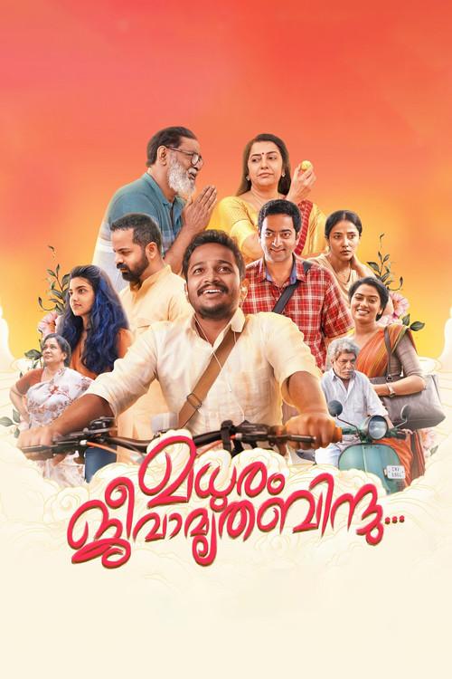 Madhuram Jeevamruthabindu 2025 official movie poster
