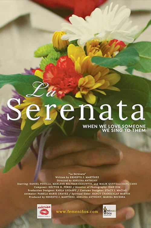 The Serenade 2019 official movie poster