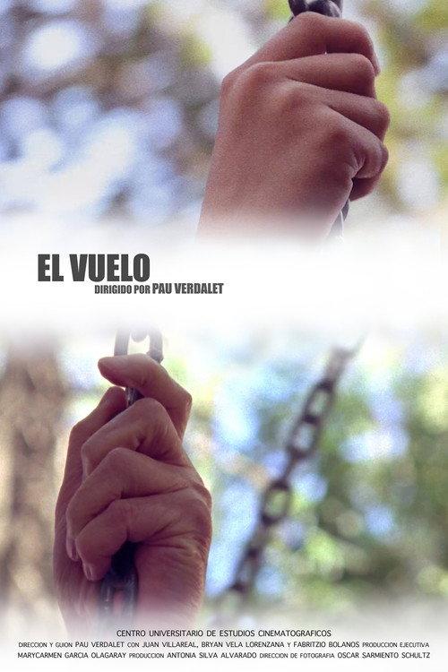El vuelo 2017 official movie poster