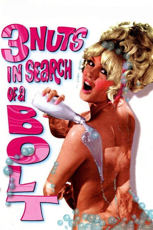 3 Nuts in Search of a Bolt 1964 official movie poster