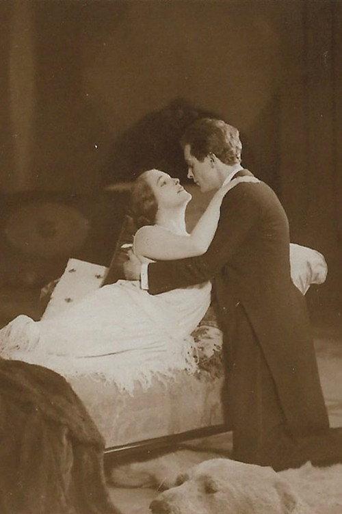Countess Donelli 1924 official movie poster