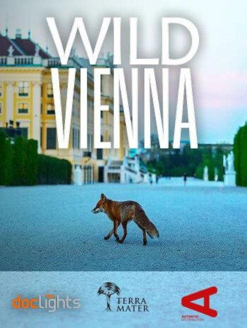 Wild Vienna 2025 official movie poster