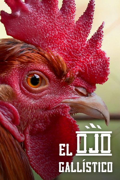 Through the Gaze of the Cockfighter 2022 official movie poster