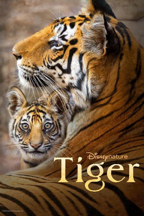 Tiger 2024 official movie poster