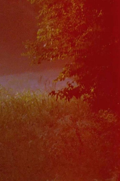 Bardo Landscape 2020 official movie poster