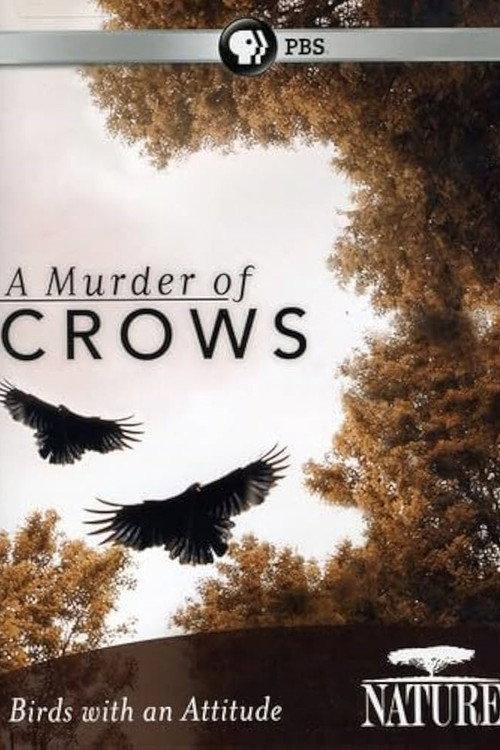 A Murder of Crows 2010 official movie poster