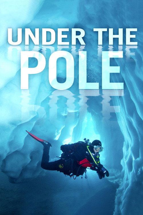 Deepsea Under The Pole 2011 official movie poster