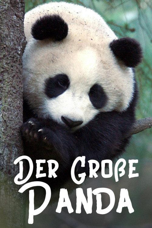 The Giant Panda 2020 official movie poster