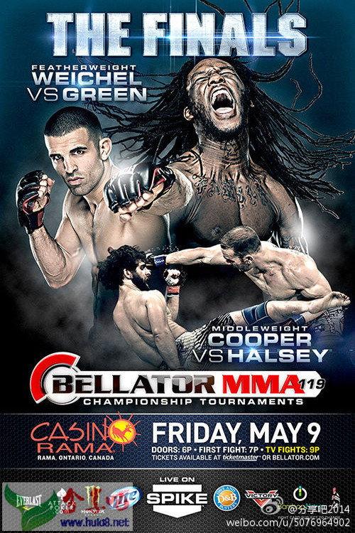 Bellator 119 2014 official movie poster