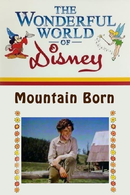 Mountain Born 1972 official movie poster