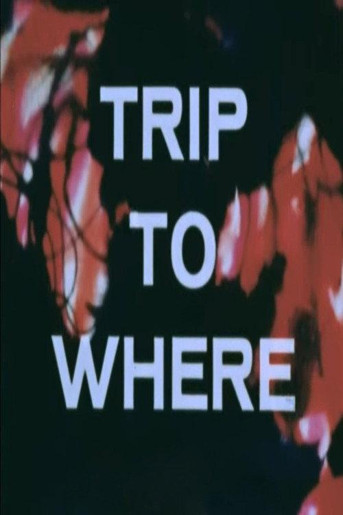 LSD: Trip to Where? 1968 official movie poster