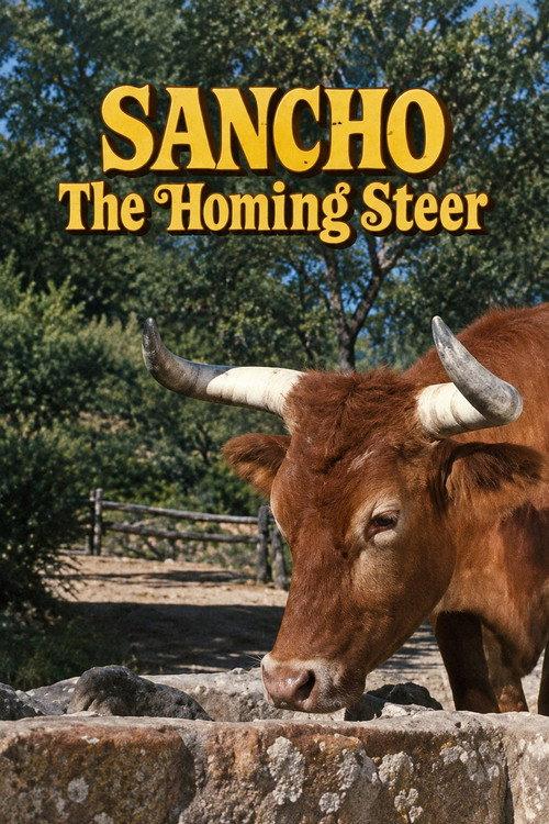 Sancho, the Homing Steer 1962 official movie poster